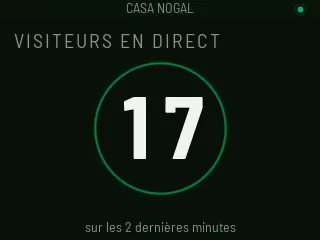 VISITEURS EN CE MOMENT 17, dans un anneau vert qui pulse, avec « ces 2 dernières minutes » en dessous.